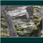 Rheinsteig II 033.jpg